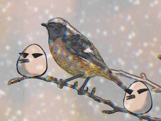 生き物ルーム第33