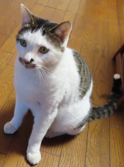 生き物ルーム第33