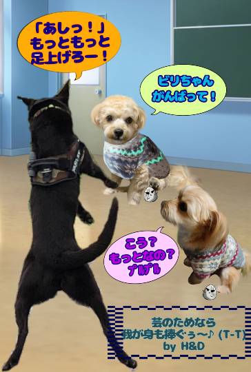 生き物ルーム第33