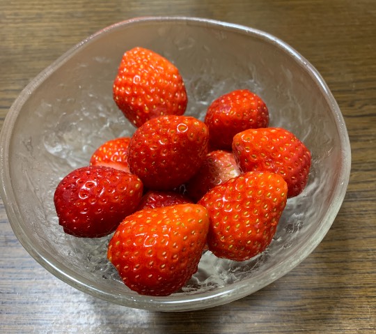 生き物ルーム第33