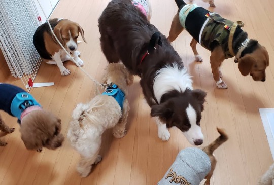 生き物ルーム第33