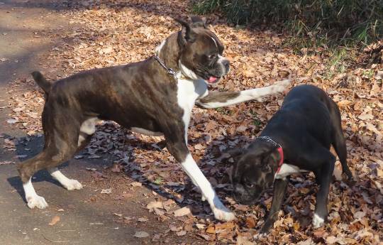 生き物ルーム第33