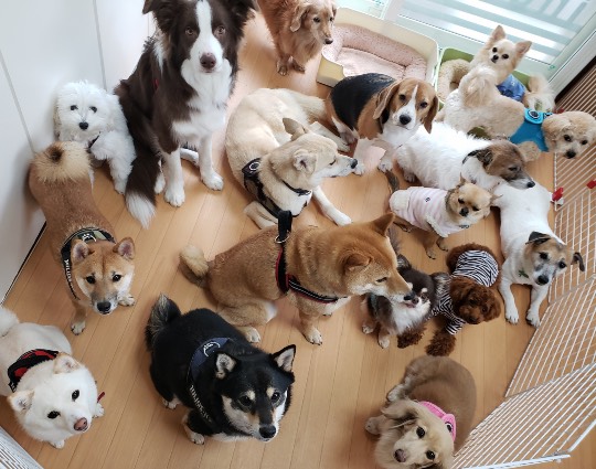 生き物ルーム第33