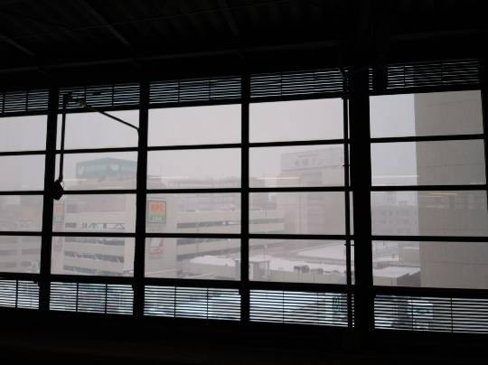 ★ドンキ♡♡ロピア 雑談 8★