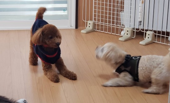 生き物ルーム第33