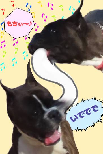 生き物ルーム第33