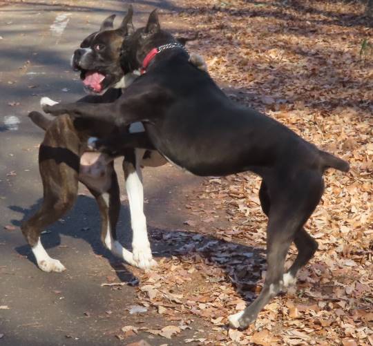 生き物ルーム第33