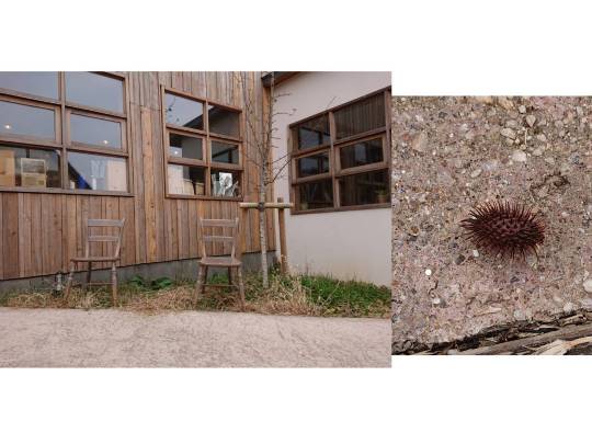 生き物ルーム第33