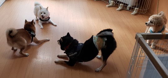 生き物ルーム第33