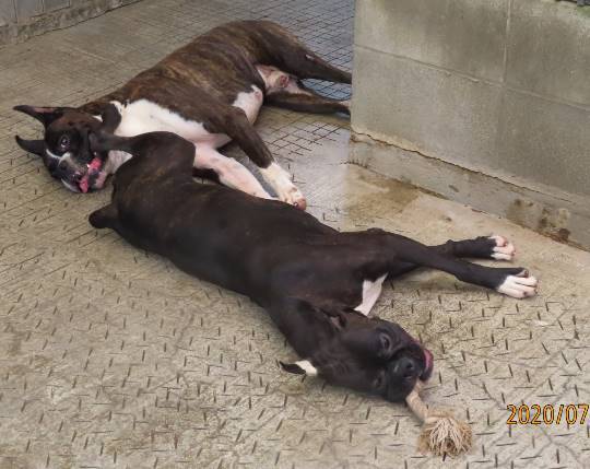 生き物ルーム第33