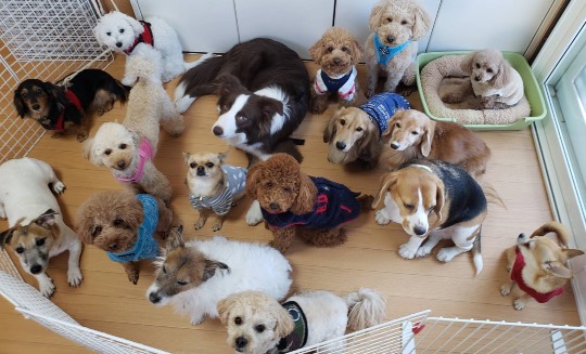 生き物ルーム第33