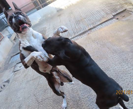 生き物ルーム第33