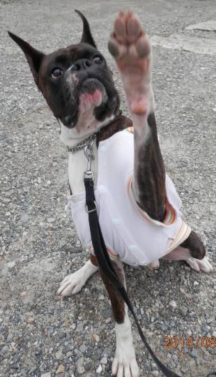 生き物ルーム第33