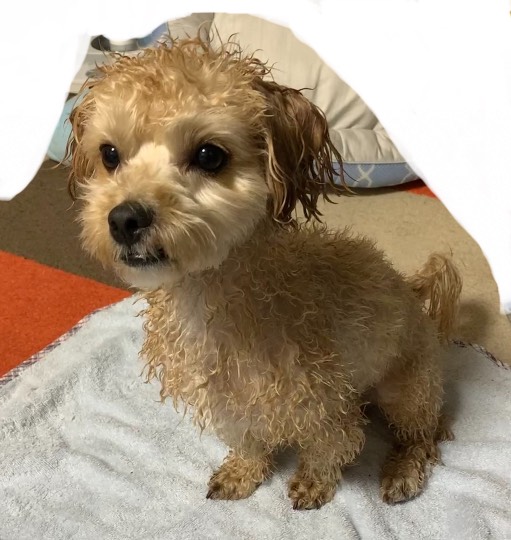 生き物ルーム第33