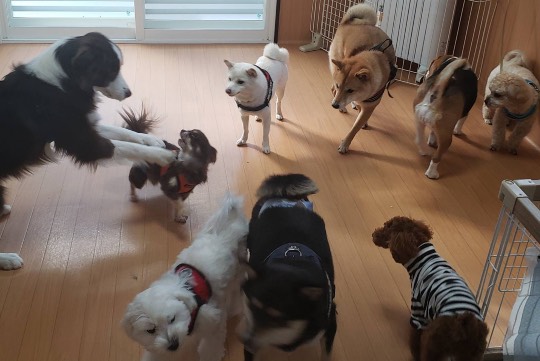 生き物ルーム第33