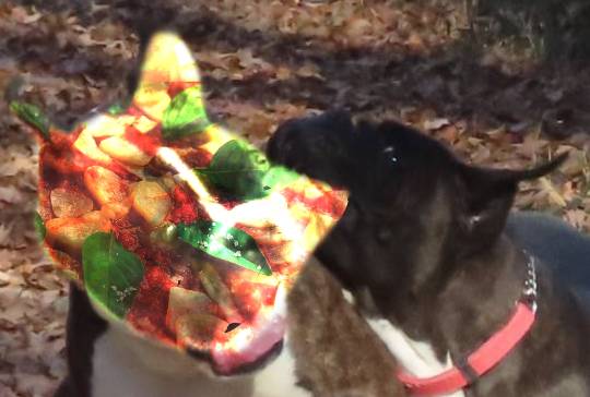 生き物ルーム第33