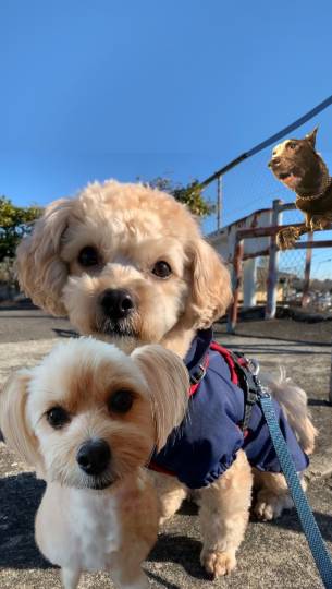 生き物のルーム第32