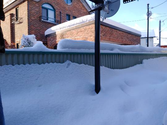 ★ドンキ♡♡ロピア 雑談10★