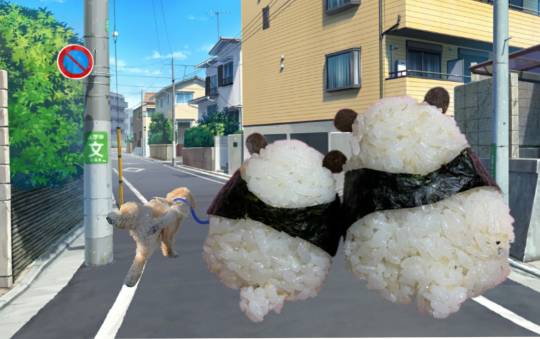 生き物ルーム第33