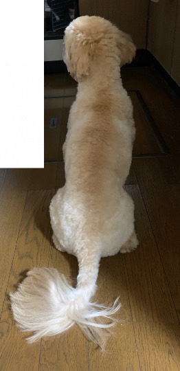 生き物ルーム第33