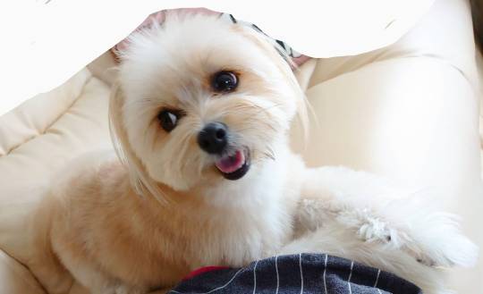 生き物ルーム第33