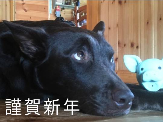 2021 雑談ニューイヤー