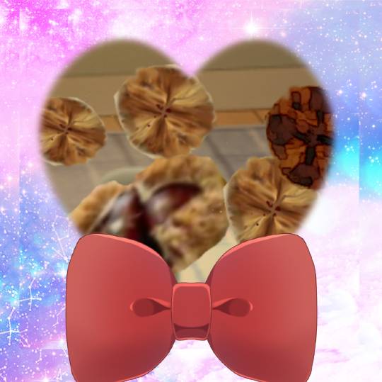 生き物のルーム第32