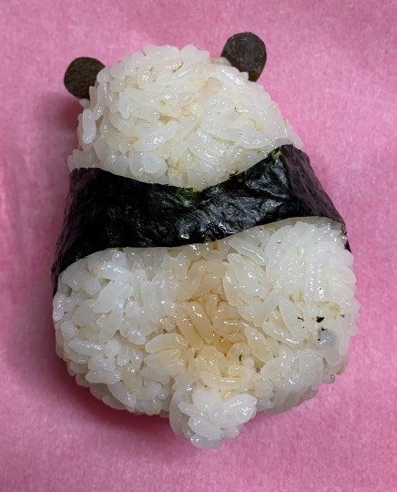 生き物ルーム第33