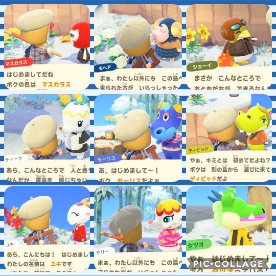 集え遊戯を好みし者等の庵 拾 雑談も善きに計らえ