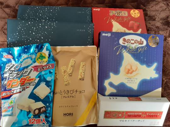 マスク同窓会詰所兼ニューフェイス歓迎所9