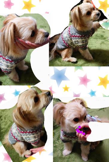 生き物ルーム第33