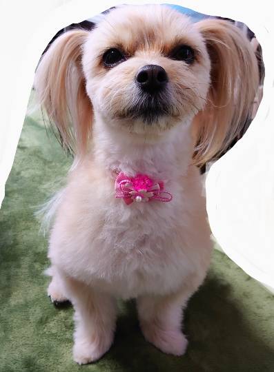 生き物のルーム第32