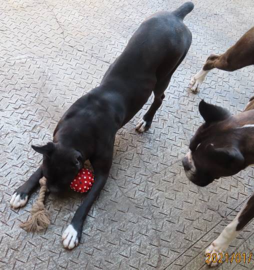 生き物ルーム第33