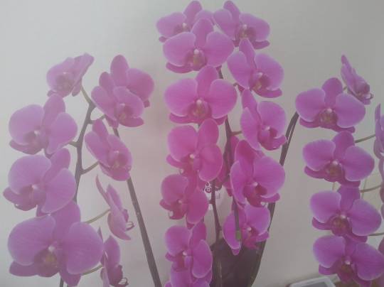 【スナックJINJIN】お待たせいたしました！9号店、本日オープンいたします!!