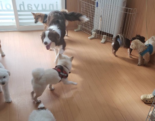 生き物ルーム第33