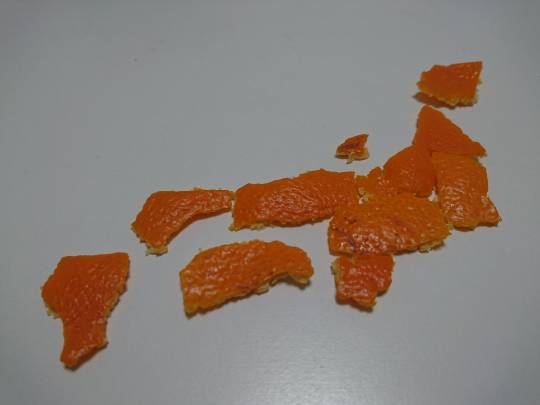 マスク同窓会詰所兼ニューフェイス歓迎所8