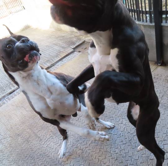 生き物ルーム第33