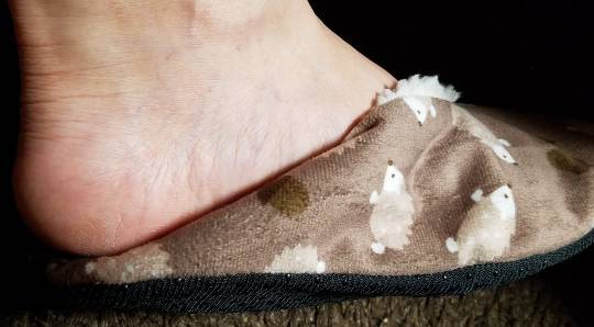 マスク同窓会詰所兼ニューフェイス歓迎所10