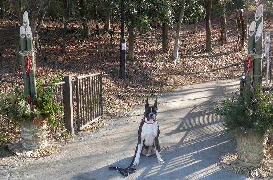 生き物のルーム第32