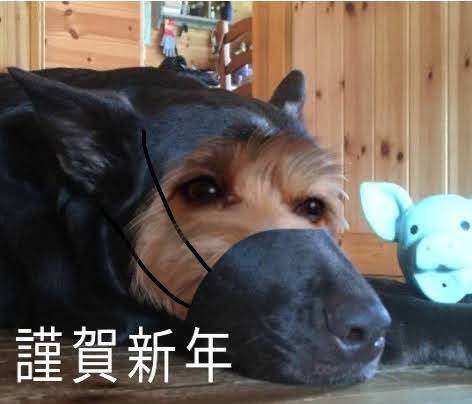 生き物のルーム第32