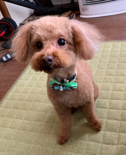 生き物ルーム第33