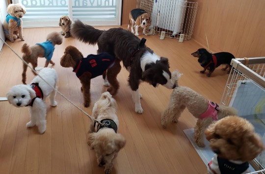 生き物ルーム第33