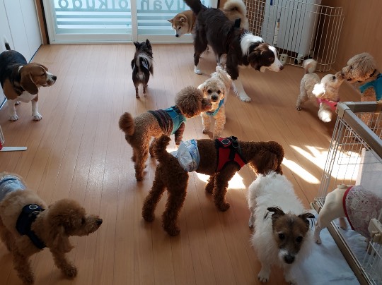 生き物ルーム第33