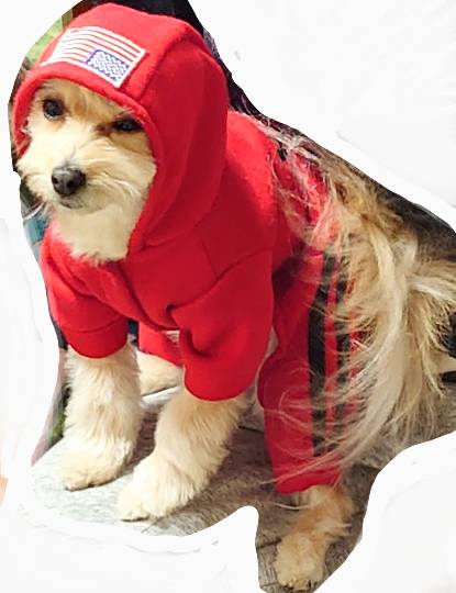 生き物のルーム第32