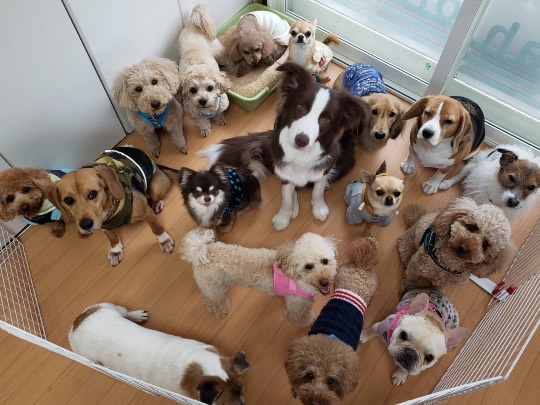 生き物ルーム第33