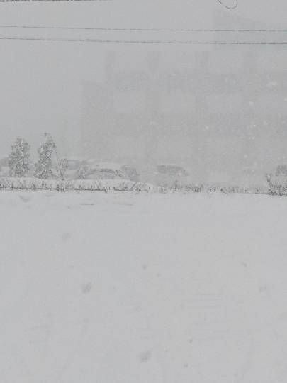 #雑談お絵描き部…ホーム5