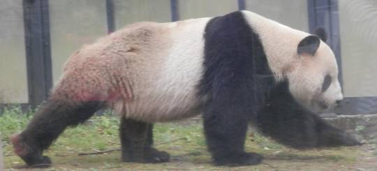 生き物ルーム第35