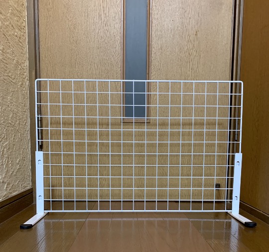 生き物ルーム第36