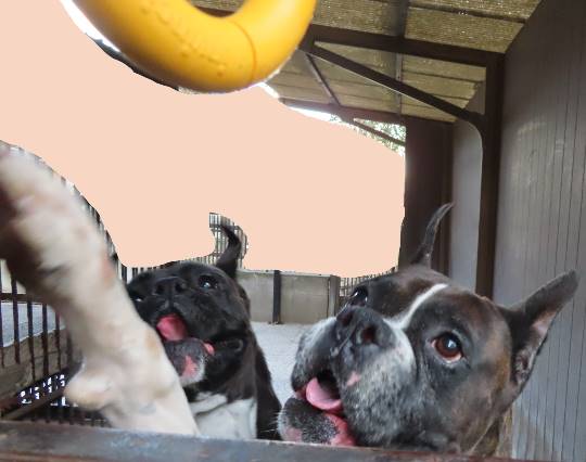 生き物ルーム第34