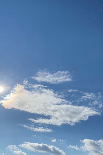 ★ドンキ♡♡ロピア 雑談15★